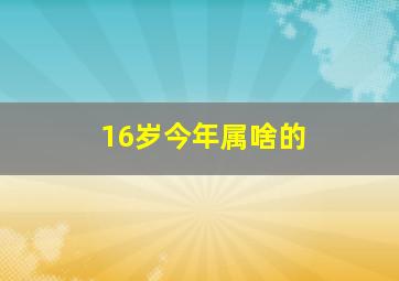 16岁今年属啥的