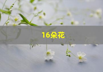 16朵花