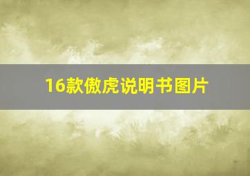 16款傲虎说明书图片