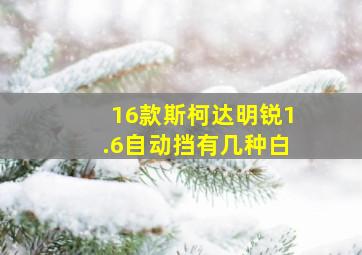 16款斯柯达明锐1.6自动挡有几种白