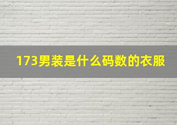 173男装是什么码数的衣服