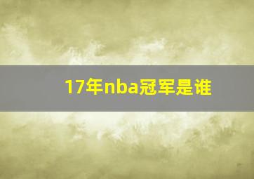 17年nba冠军是谁