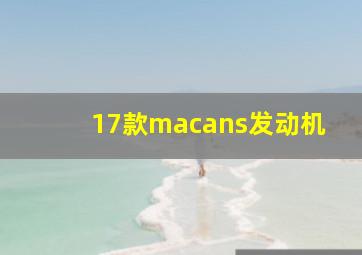 17款macans发动机