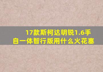 17款斯柯达明锐1.6手自一体智行版用什么火花塞