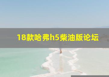 18款哈弗h5柴油版论坛