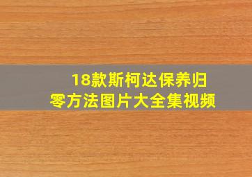 18款斯柯达保养归零方法图片大全集视频