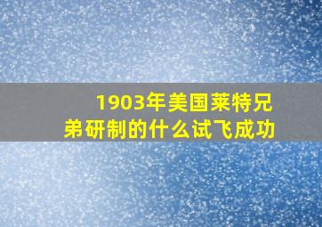 1903年美国莱特兄弟研制的什么试飞成功