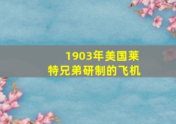 1903年美国莱特兄弟研制的飞机