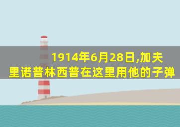 1914年6月28日,加夫里诺普林西普在这里用他的子弹