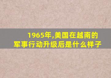 1965年,美国在越南的军事行动升级后是什么样子