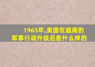 1965年,美国在越南的军事行动升级后是什么样的