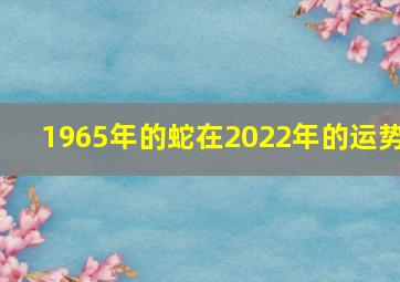 1965年的蛇在2022年的运势