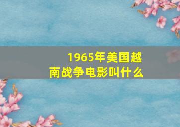 1965年美国越南战争电影叫什么