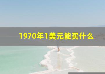 1970年1美元能买什么