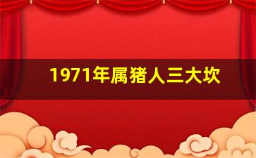 1971年属猪人三大坎