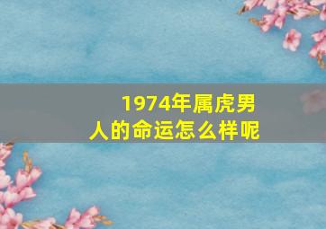 1974年属虎男人的命运怎么样呢