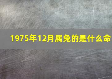 1975年12月属兔的是什么命