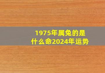 1975年属兔的是什么命2024年运势