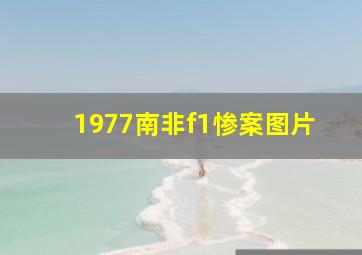 1977南非f1惨案图片