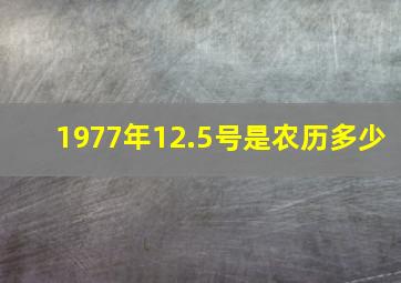 1977年12.5号是农历多少