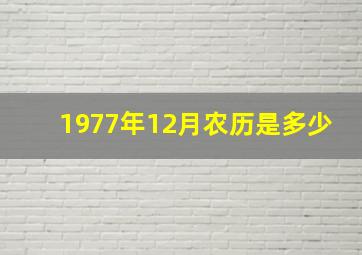 1977年12月农历是多少