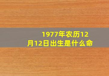 1977年农历12月12日出生是什么命