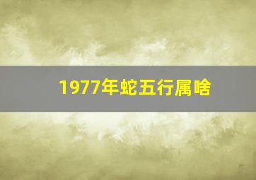 1977年蛇五行属啥