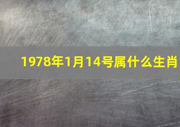 1978年1月14号属什么生肖