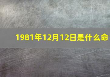 1981年12月12日是什么命