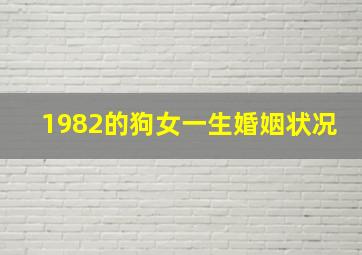 1982的狗女一生婚姻状况