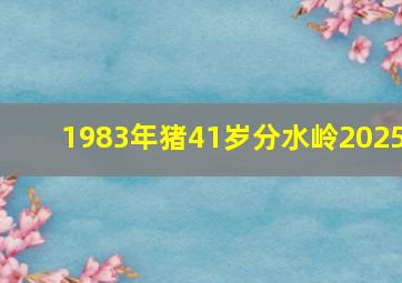 1983年猪41岁分水岭2025