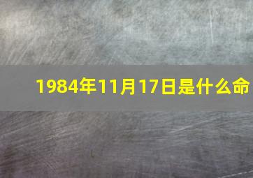 1984年11月17日是什么命