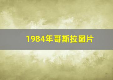 1984年哥斯拉图片