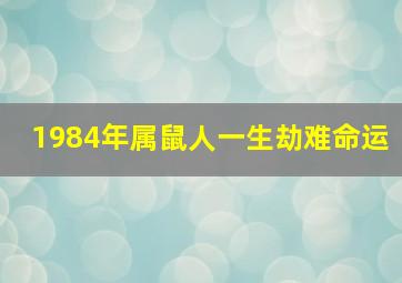 1984年属鼠人一生劫难命运