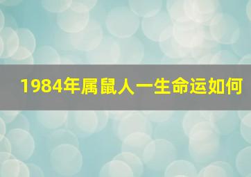 1984年属鼠人一生命运如何