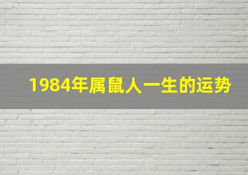 1984年属鼠人一生的运势