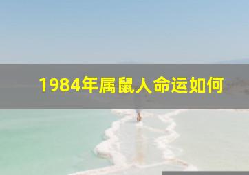 1984年属鼠人命运如何