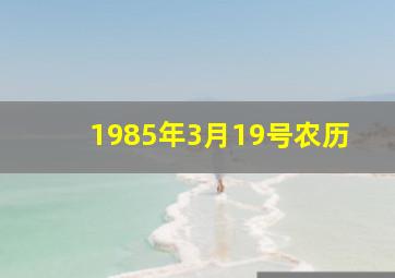 1985年3月19号农历