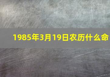 1985年3月19日农历什么命