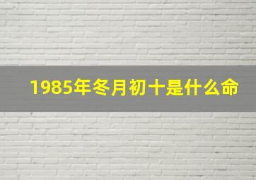 1985年冬月初十是什么命