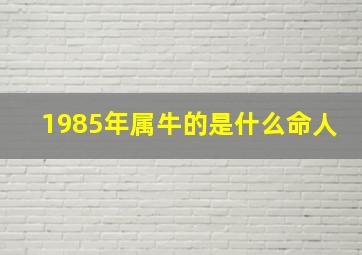 1985年属牛的是什么命人