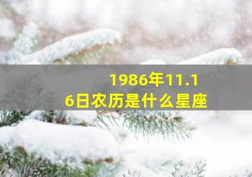 1986年11.16日农历是什么星座