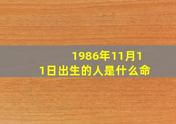 1986年11月11日出生的人是什么命