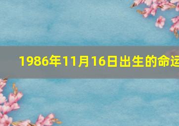 1986年11月16日出生的命运