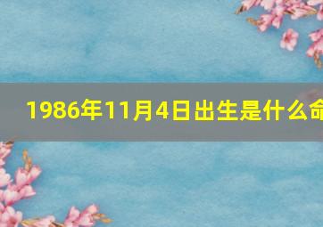 1986年11月4日出生是什么命