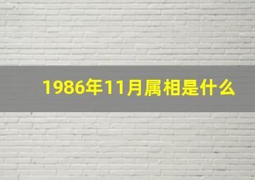 1986年11月属相是什么