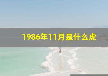 1986年11月是什么虎