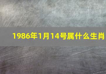 1986年1月14号属什么生肖