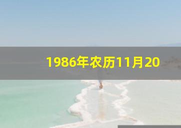 1986年农历11月20