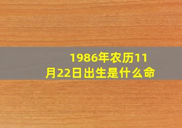 1986年农历11月22日出生是什么命